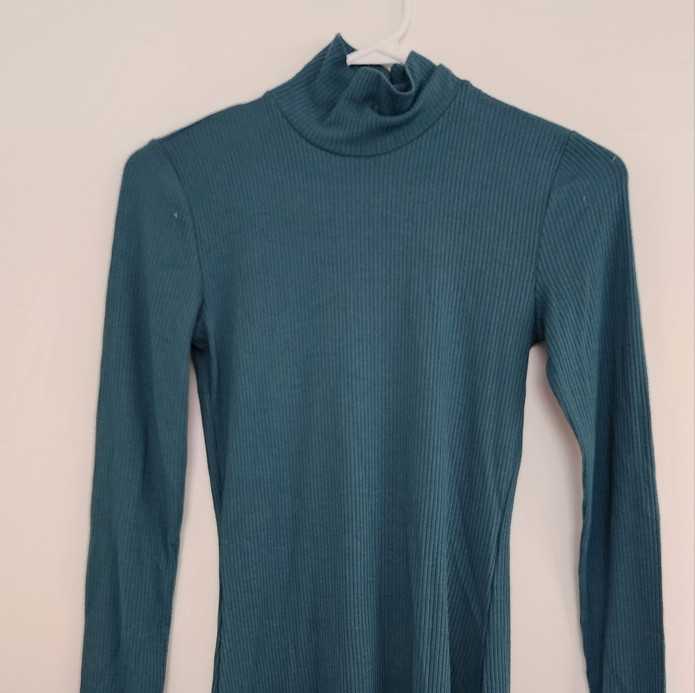 NWOT Wilfred Turtleneck Dress